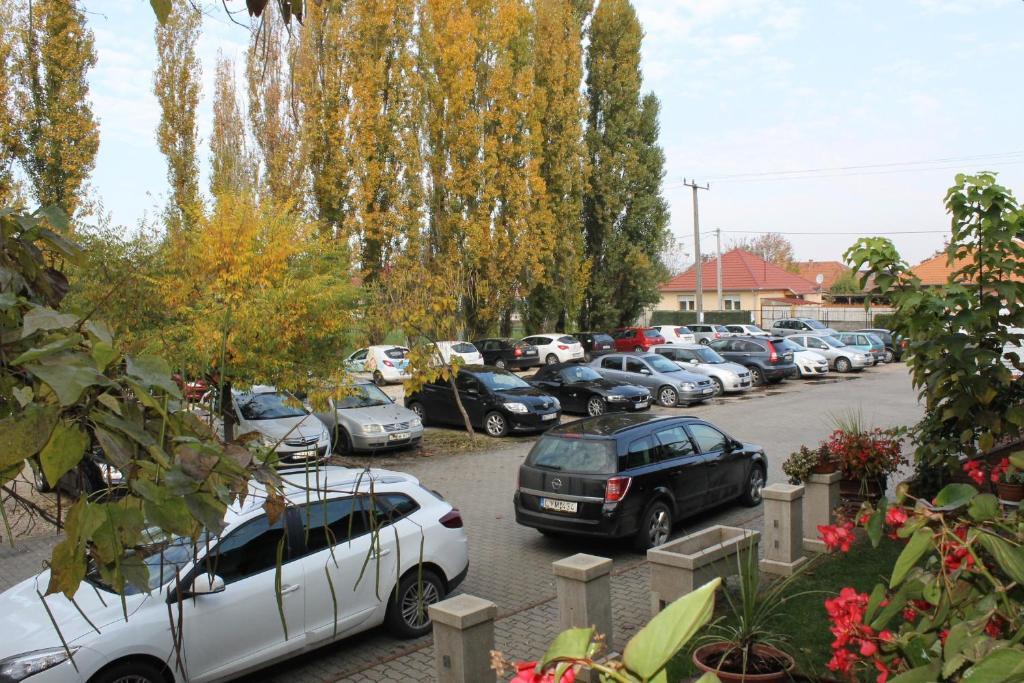 Bajor Panzio Bed and Breakfast Kecskemét Exteriör bild